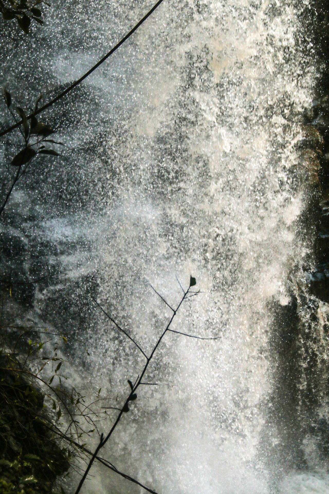瀑布與霧氣和剪影樹枝（森林中）
