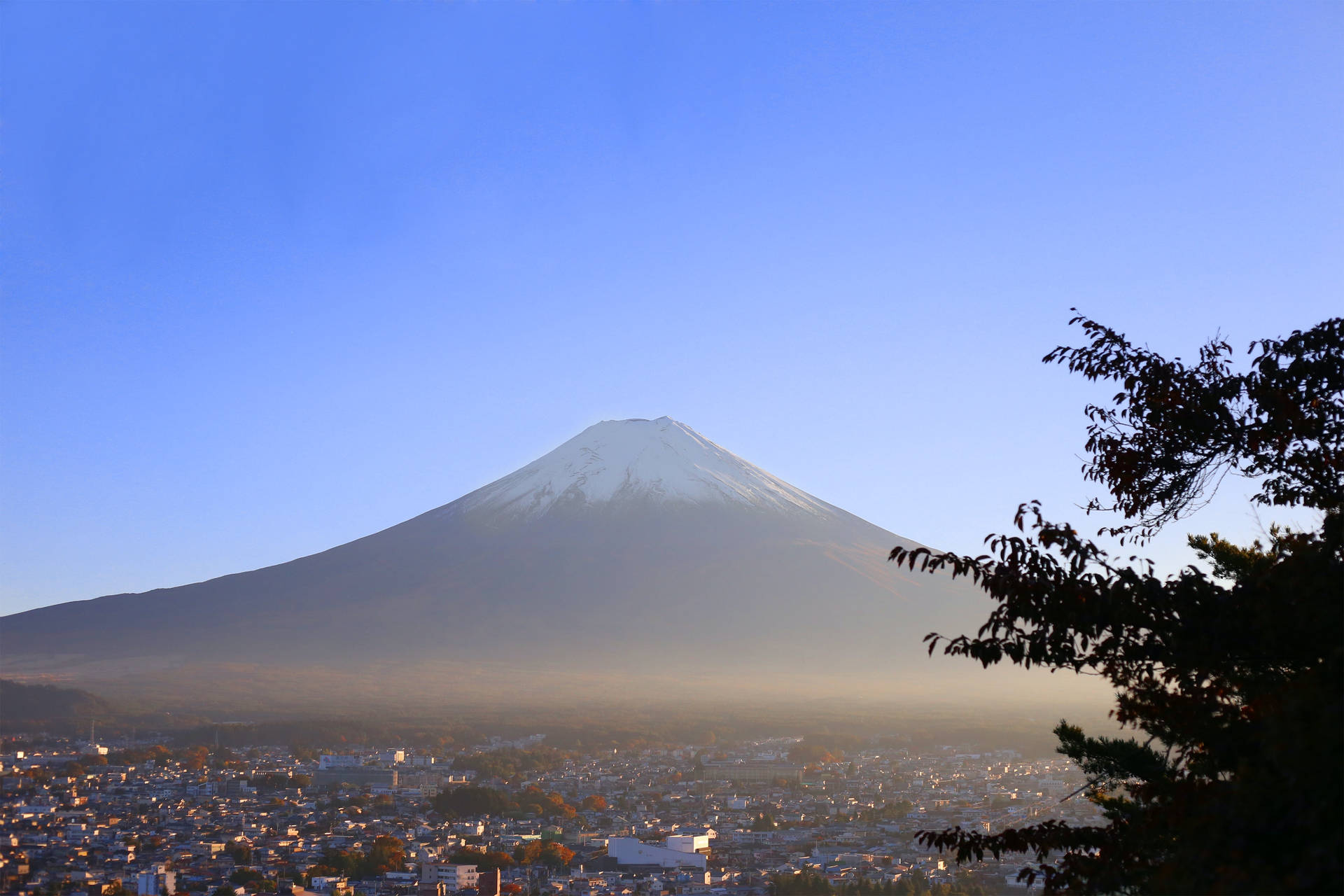 白雪覆蓋的富士山俯瞰著小鎮，前景有秋天的樹木，夕陽西下。