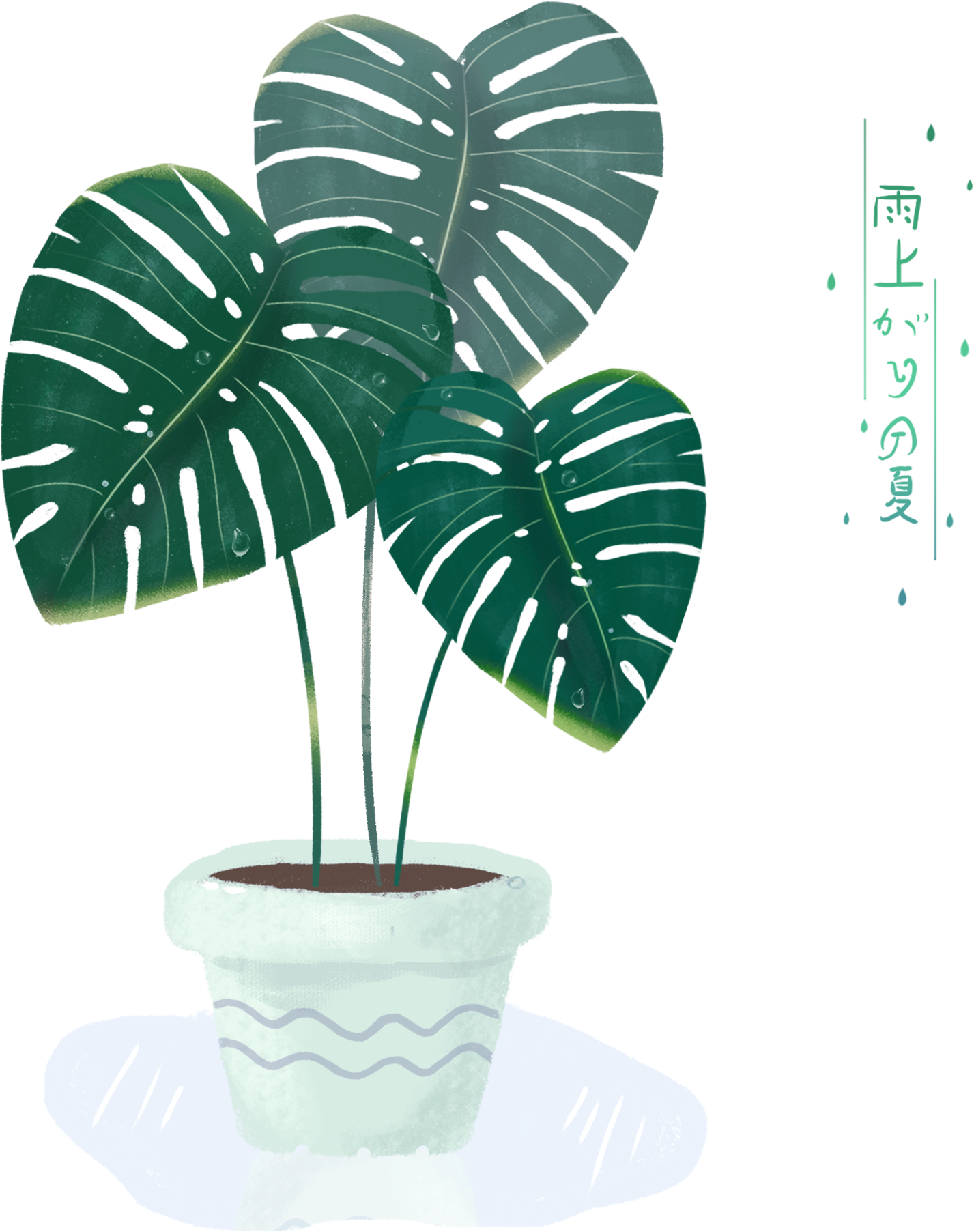 龜背竹插畫 壁紙 — 一棵龜背竹植物，有大的綠色葉子和水滴，放在白色花盆裡，放在淺藍色碟子上，背景為黑色。