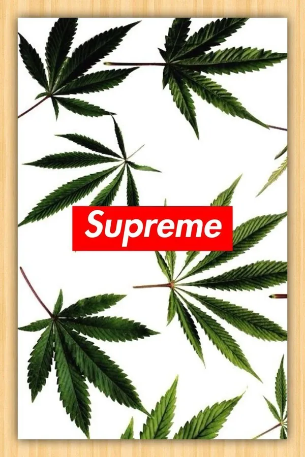 白色背景上被大麻葉包圍的Supreme標誌。