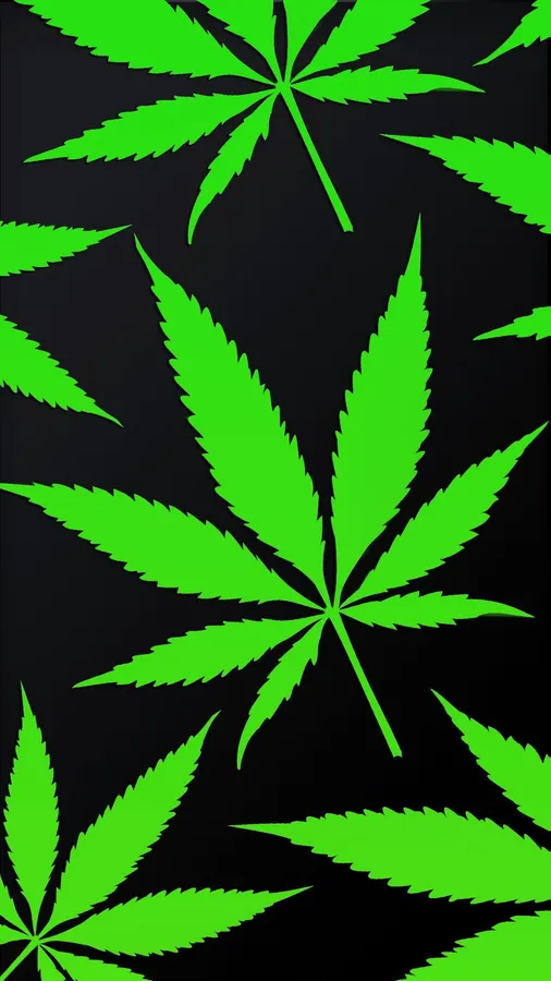 黑色背景圖案上的螢光綠色大麻葉