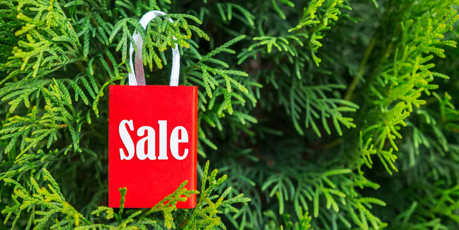 sale,discount,shopping,bag,red bag,holiday sale,christmas sale,retail promotion,shopping concept,eco shopping,nature background,green tree,marketing,advertisement,special offer,shopping season,festive sale,sale banner,clearance,sale label