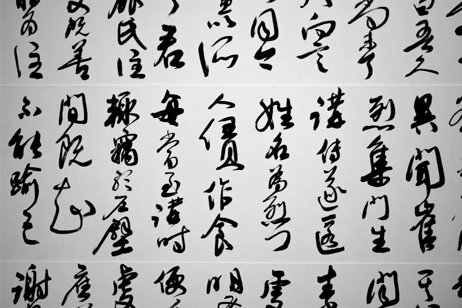 淺灰色紙上的黑色草書中文字。