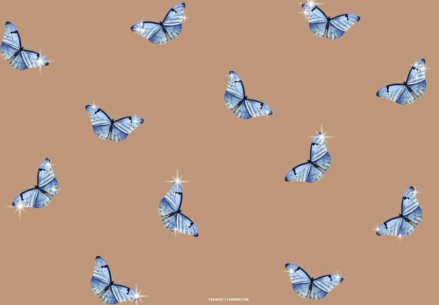 優雅圖像