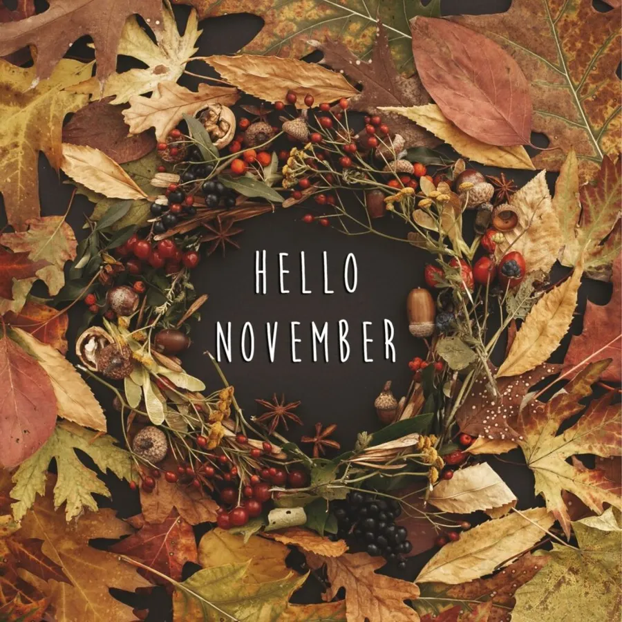 秋季花環,樹葉、漿果和橡子環繞hello november文字。