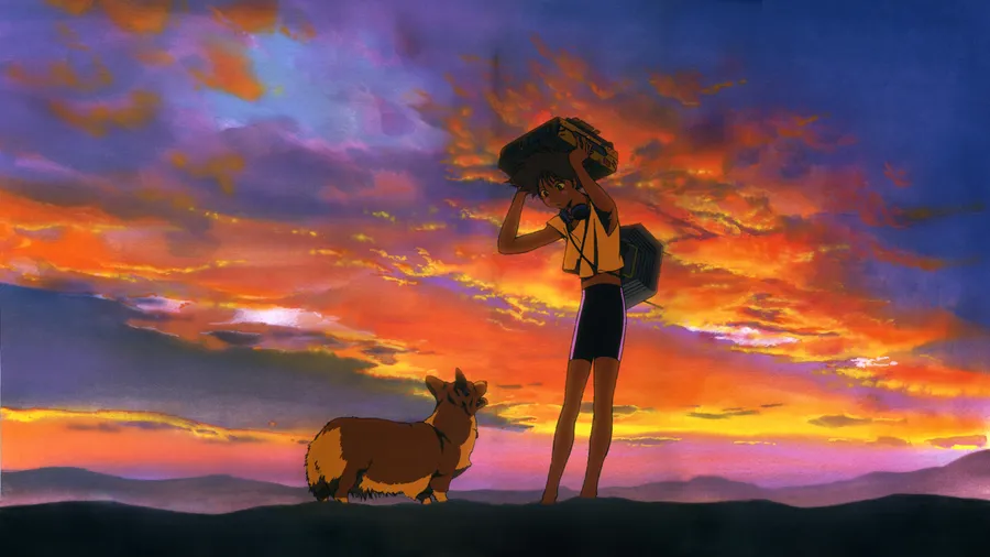 少女和哥基犬站在山上看日落