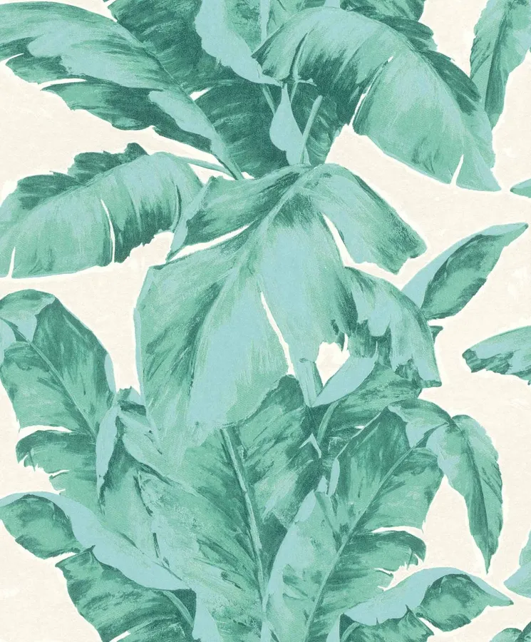 奶油色背景上青綠色調的熱帶香蕉葉。