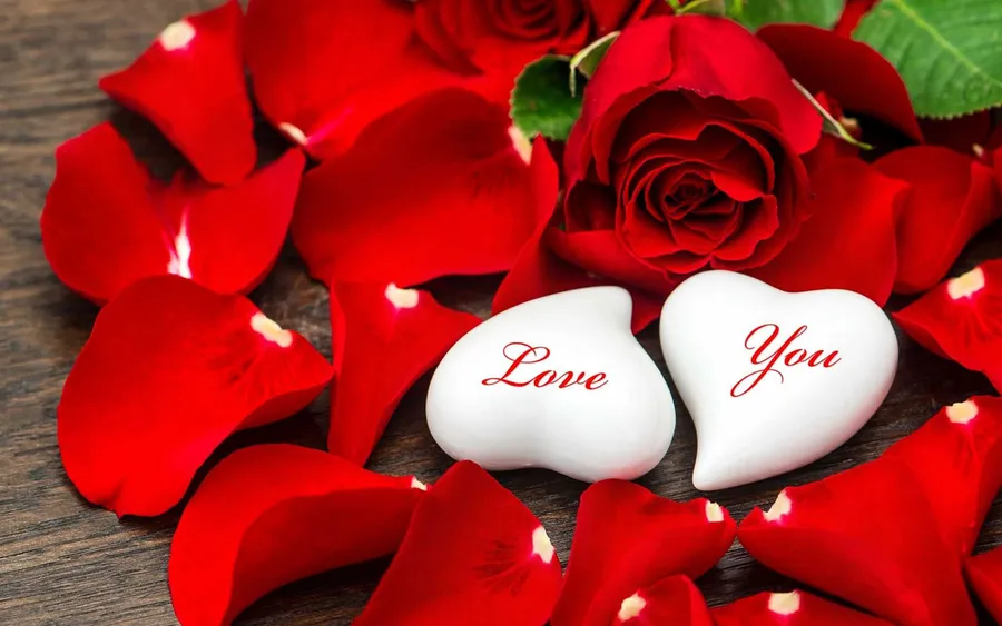 兩塊白色心形石頭帶有「Love You」文字,被紅色玫瑰花瓣包圍在木頭上。