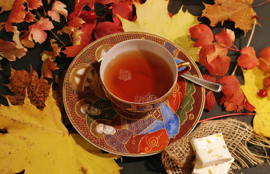 一杯茶被秋葉和一塊方糖圍繞,放在一個裝飾茶碟上。
