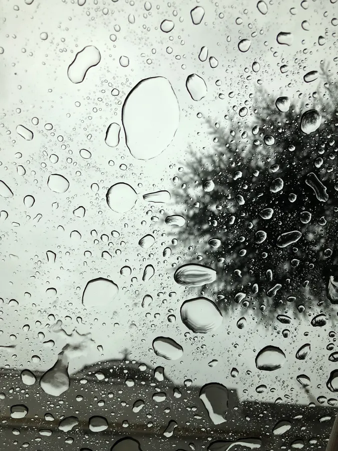 窗戶上的雨滴和背景中模糊的樹木。