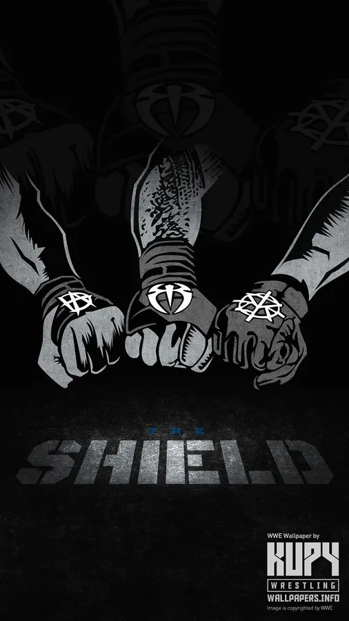三位摔角手拳頭緊扣,展示手套上的The Shield標誌。