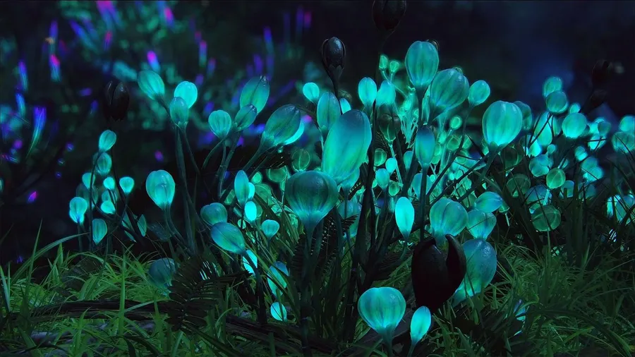 夜間在黑暗森林中發光的生物發光藍色花朵。