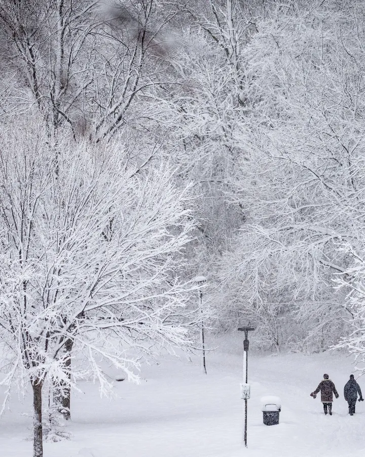 兩個人走過一個白雪覆蓋的公園,樹木結霜。