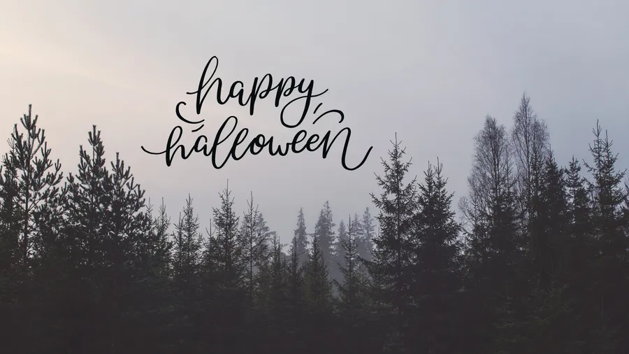 黎明時分霧氣籠罩的松樹林上的Happy Halloween文字