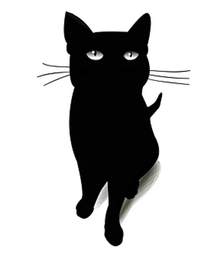 黑貓剪影插畫
