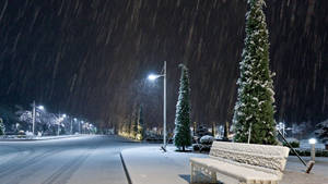 積雪的長椅旁邊是燈火通明的樹木，在一個雪夜的街道上。