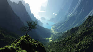 懸崖上的一棵孤樹俯瞰著帶有藍色湖泊的山谷。