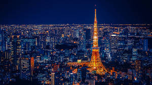 夜晚的東京塔亮起燈光，下方城市燈光閃爍。