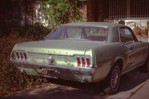 一架綠色復古Mustang停泊在住宅街道上，有陽光和樹葉。