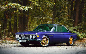 紫色經典BMW 280 CSI配金色輪圈，停泊在秋日森林中。