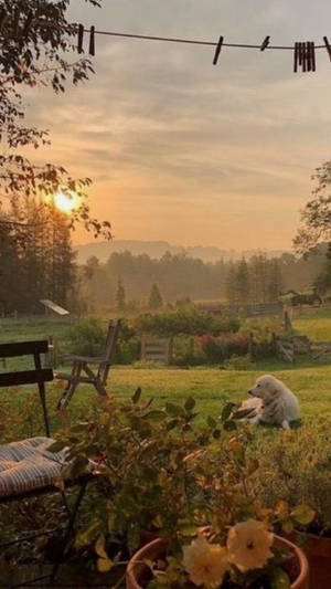 Aesthetic Cottagecore Sunrise