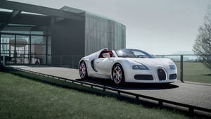 白色Bugatti Veyron跑車停泊在現代化車道上，背景為玻璃建築。