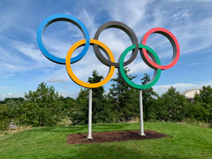 藍天下草地上柱子上的五個奧運五環。