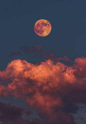 滿月照亮了暮色天空中戲劇性的紅雲。