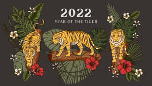 三隻插圖老虎在熱帶樹葉和花朵中，附有文字2022虎年。 — 中國新年 壁紙