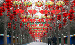 一條為中國節日裝飾著紅色和金色燈籠的街道。 — 中國新年 壁紙