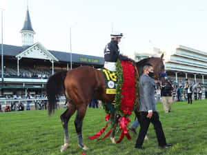 戴紅色花環的勝出馬匹由騎師和馬伕帶領在賽馬場。