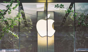 玻璃建築內點亮的Apple標誌，前景有樹枝。 — 蘋果 壁紙