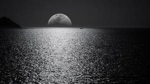 夜晚，一艘小船在平靜的水面上漂浮，上方是一輪巨大的滿月。