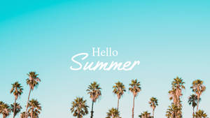 棕櫚樹襯著清澈的藍天，帶有文字Hello Summer。