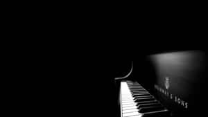 Steinway & Sons三角鋼琴鍵盤，在鮮明的黑白燈光下。 — 黑白 壁紙