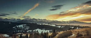 金色夕陽下的雪山和森林山谷