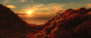 秋山在夕陽天空下，與霧谷一起閃耀著橙色和紅色的樹葉。