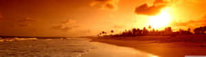熱帶海灘上的夕陽，有棕櫚樹和輕柔的海浪