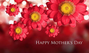 紅色雛菊帶有黃色中心，以及「Happy Mother's Day」文字在發光背景上。