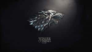 金屬冰原狼頭標誌，深色背景上帶有'Winter is Coming Stark'文字。