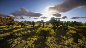 方塊Minecraft森林，有樹木同草地，天空有日落同雲。