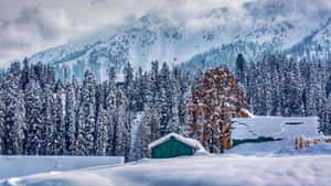 陰天下，被松樹和山脈環繞的雪中小屋。