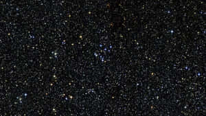 夜空中密集的星場