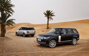 沙漠中的兩輛Range Rover，伴隨著棕櫚樹和沙丘。