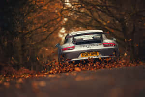 銀色保時捷911 GT3在森林道路上駛過秋葉。