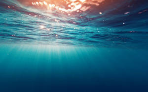陽光穿過水下的海浪閃耀。