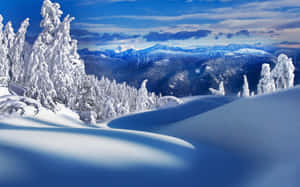 雪覆蓋的山景，結霜的樹木和藍天 — 冬日美學 壁紙