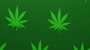 在綠色漸變背景上漂浮的大麻葉。