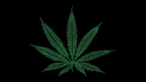 黑色背景上由文字組成的綠色大麻葉。