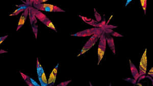 迷幻楓葉帶有複雜圖案，漂浮在黑色背景上。